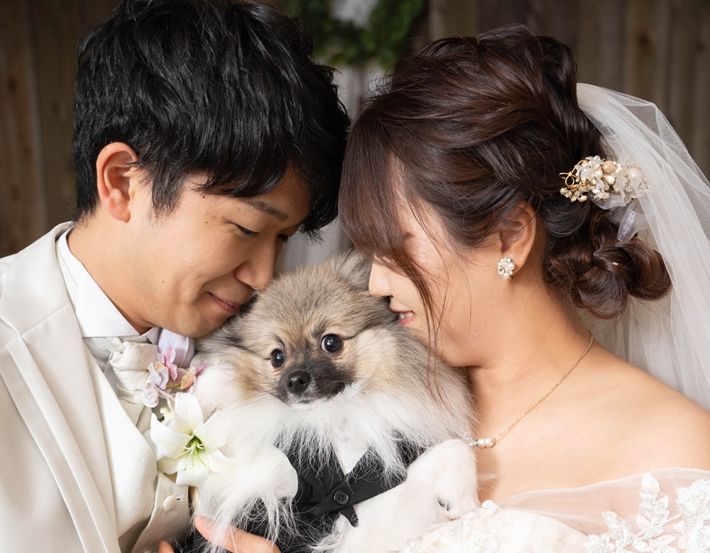 ブライダルフェア犬とフォトウエディング