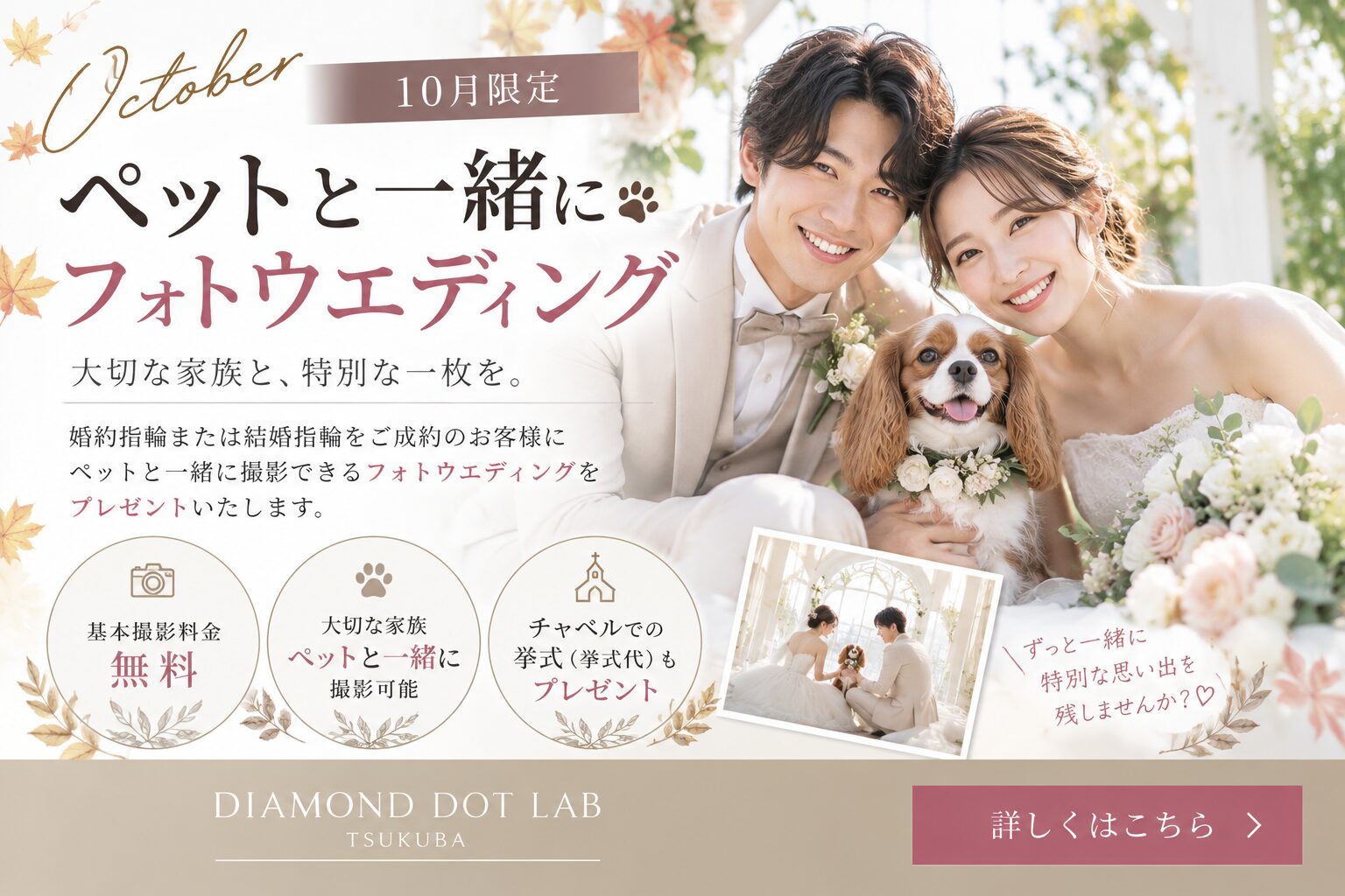 つくばで愛犬と一緒にフォトウエディング｜DIAMOND DOT LABつくば店10月キャンペーン